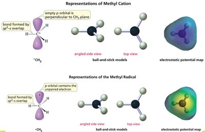 Carbanion structure