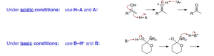 Mechanistic steps under acidic and basic conditions