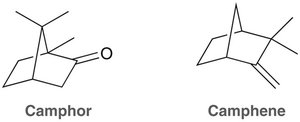 Structures of camphor and camphene
