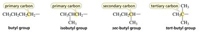 Primary, secondary, tertiary, and quaternary carbons and butyl groups