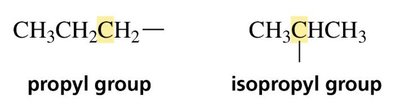 Propyl and isopropyl groups