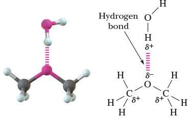 Hydrogen bonding in alcohols