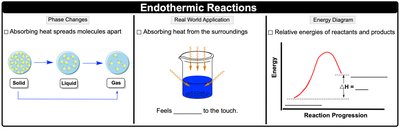 Endothermic reactions: phase changes, energy diagram