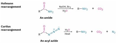 Hofmann and Curtius rearrangements
