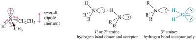 Hydrogen bonding in amines