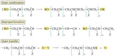 Radical polymerization termination