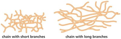 Short branches increase flexibility