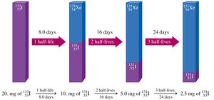 Decay curve showing the decrease in amount of I-131 over time