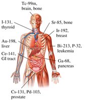 Diagram of human body showing medical uses of radioisotopes