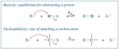 basicity vs nucleophilicity