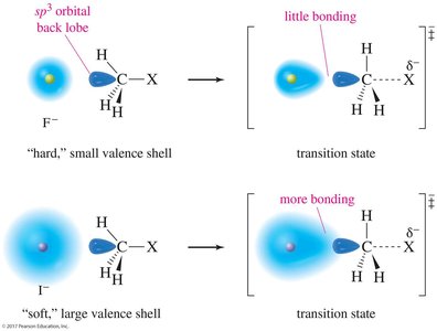 polarizability effect