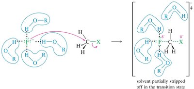 solvent effects protic
