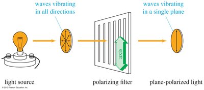 Plane-polarized light