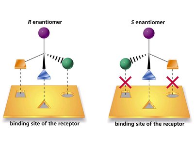 Biological discrimination of enantiomers