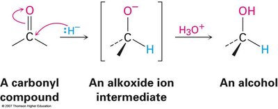 Mechanism of carbonyl reduction to alcohols