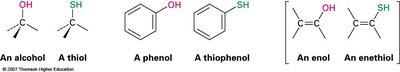 Examples of alcohols, phenols, thiols, and enols