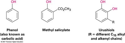 Examples of phenol, methyl salicylate, and urushiols