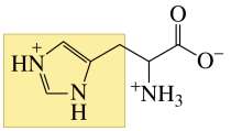 Structure of histidine
