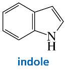 Indole structure
