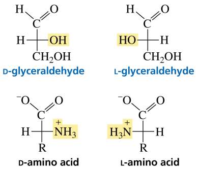 D- and L- glyceraldehyde and amino acids