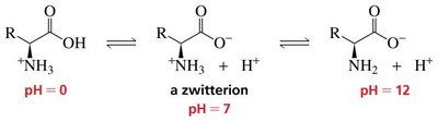 Amino acid structure and charge states at different pH