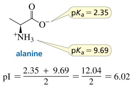 Calculation of pI for alanine