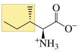 Structure of valine