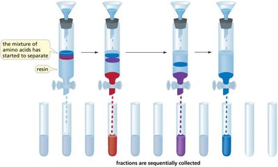 Ion-exchange chromatography process
