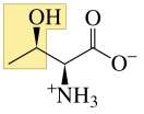 Structure of serine