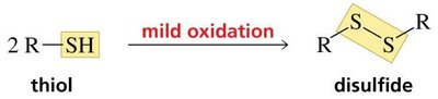 Thiol oxidation to disulfide