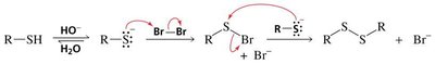 Mechanism of thiol oxidation