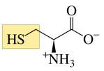 Structure of cysteine
