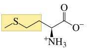 Structure of methionine
