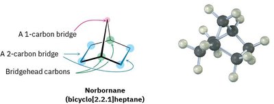 Norbornane structure and 3D model