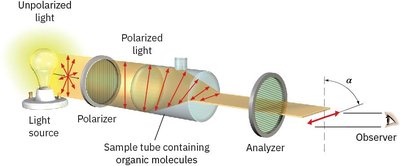 Schematic of a polarimeter