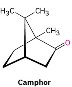 Camphor structure