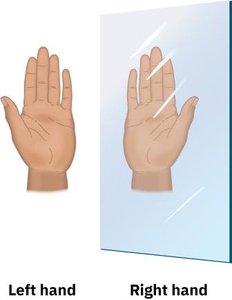 Left and right hand mirror image analogy