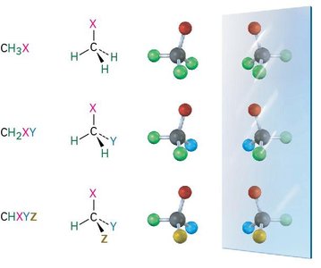 Tetrahedral carbon and mirror images