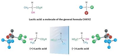 Lactic acid enantiomers and mirror images