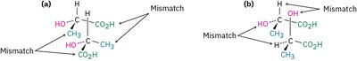 Superimposing lactic acid enantiomers