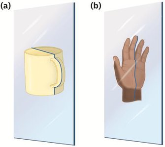 Plane of symmetry in objects