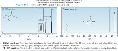 1H and 13C NMR spectra of propanoic acid