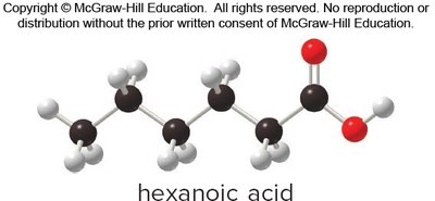 Hexanoic acid structure