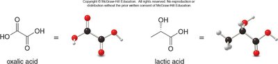 Structures of oxalic and lactic acids