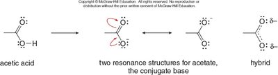 Resonance structures of acetate anion