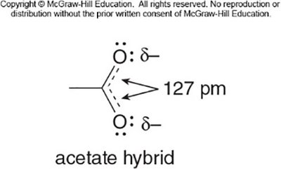 Acetate hybrid structure
