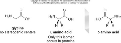 Glycine and L/D amino acids