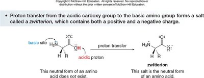 Zwitterion formation in amino acids