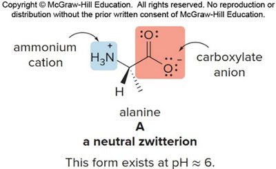 Amino acid at neutral pH