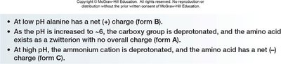 Summary of acid-base reactions of alanine